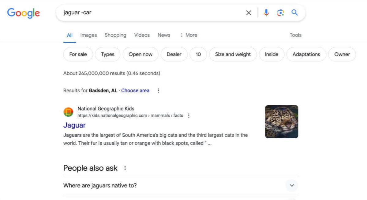 Jaguar - Car